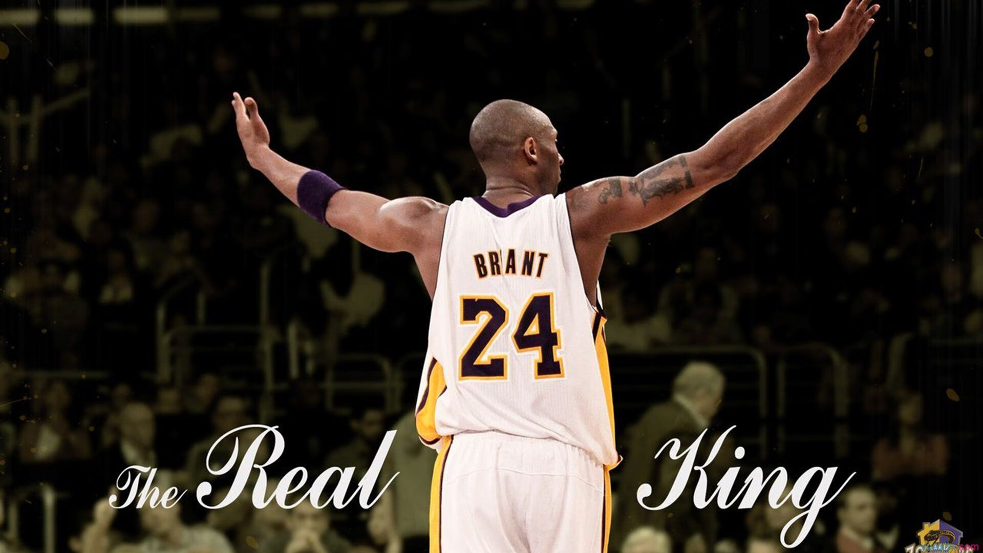  79年和86年自卫反击战 